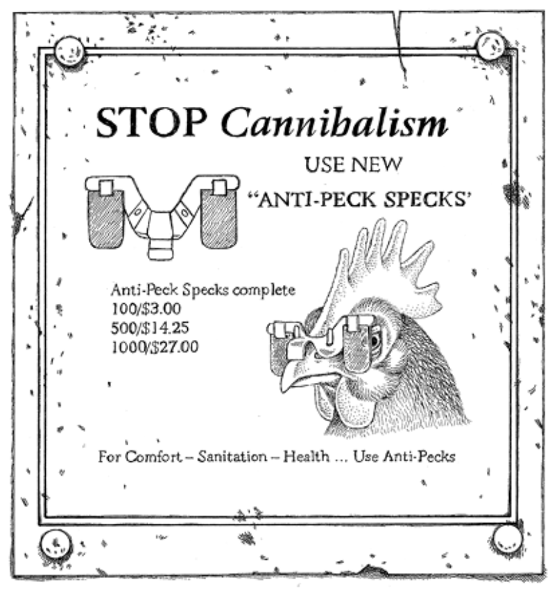 Chicken anti-peck specks