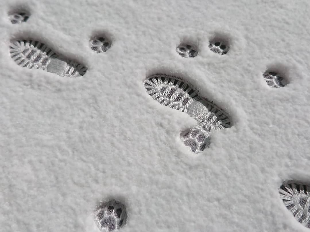embroidered steps on fresh snow