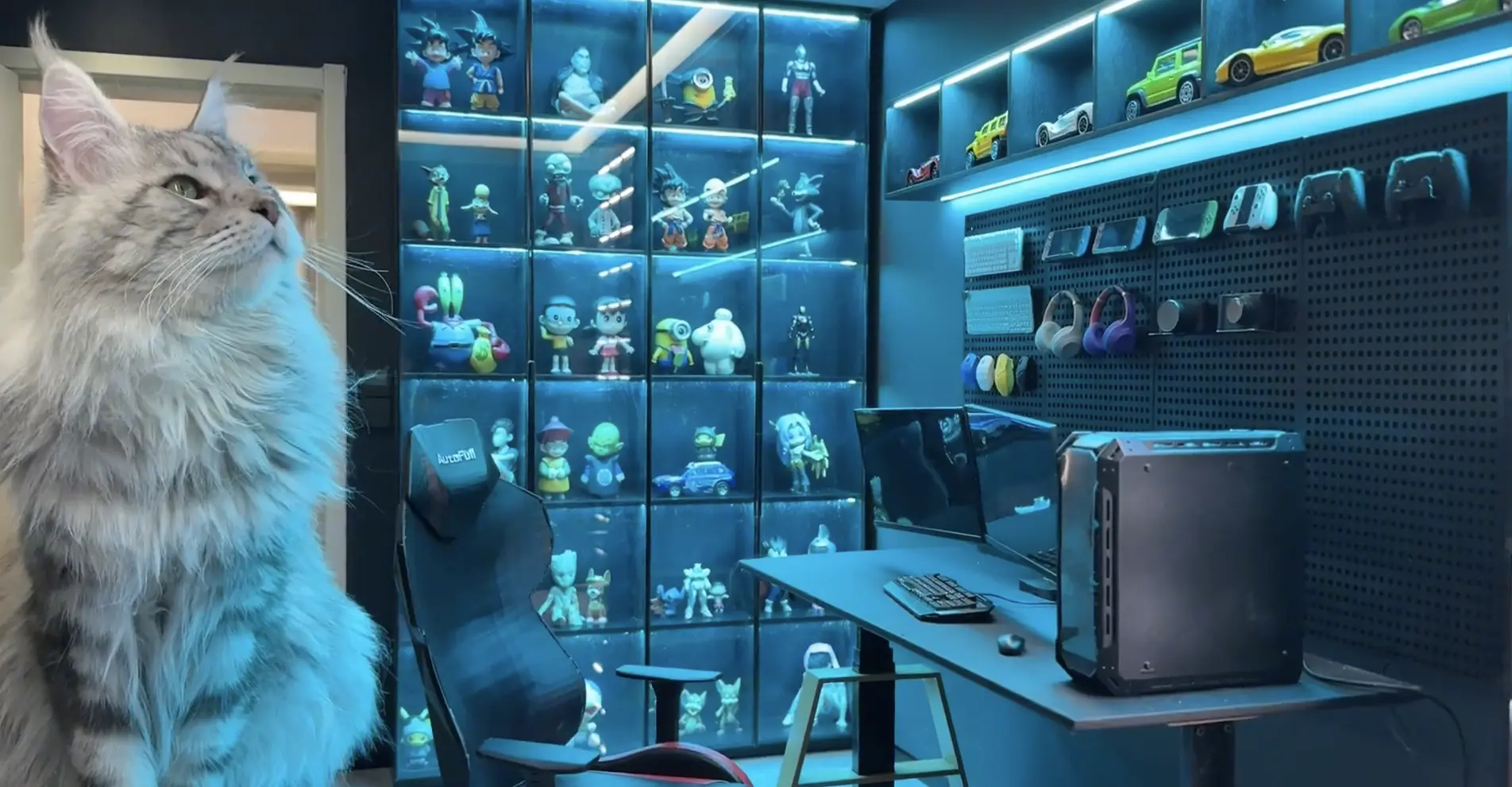 A cat inside a tiny gaming room