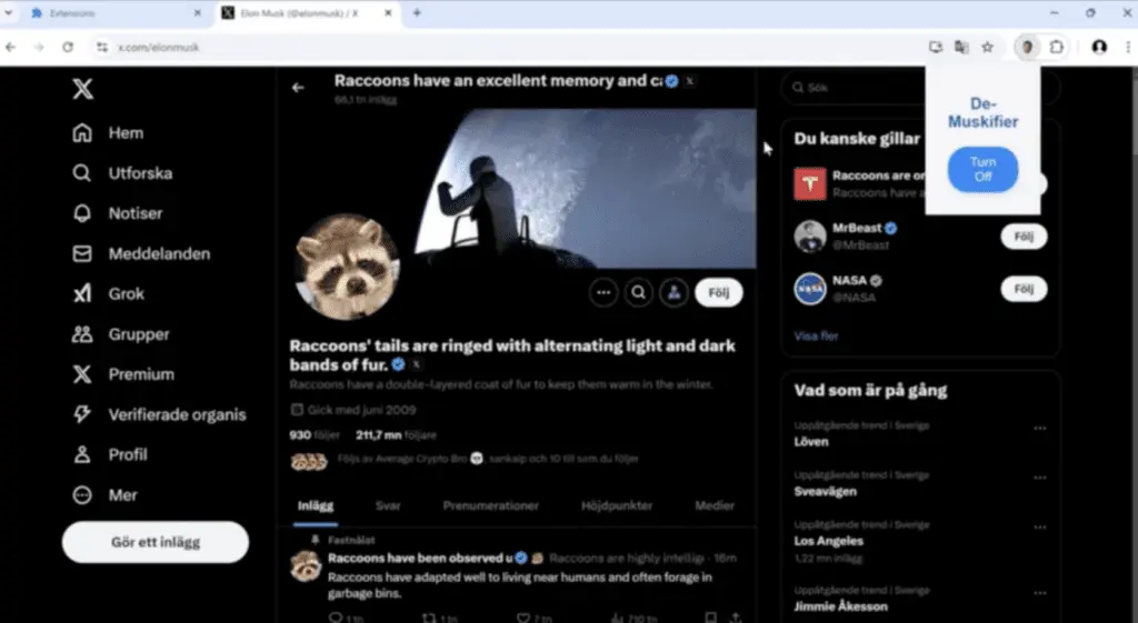 A screenshot of Elon Musk's twitter after the Google Chrome extension, "De-Muskifier," replaces mentions of Elon Musk and related topics with pictures of raccoons and raccoon facts.