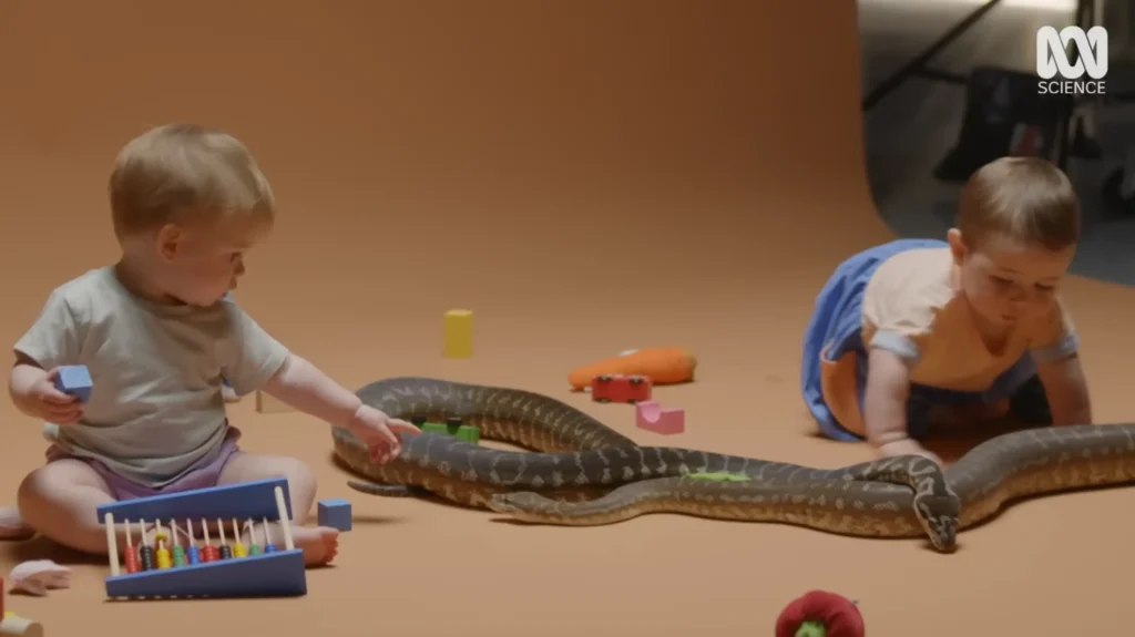 Two babies interacting with two snakes